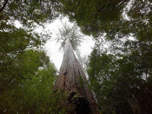 6955008169_2e47b79cf9_z