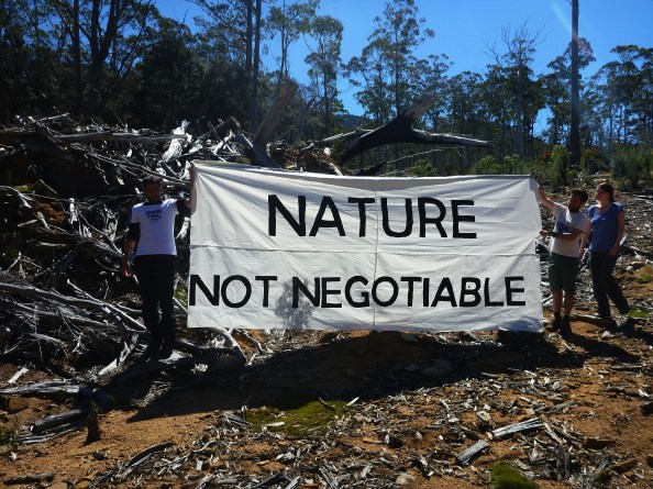 Roses Tier, North East Tasmania