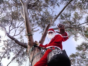 Santa arrives_low res