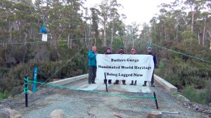 Butlers Gorge banner and tree sit