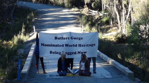 Conservationists block access to logging road in Butlers Gorge