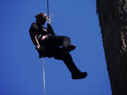 miranda descends the tree